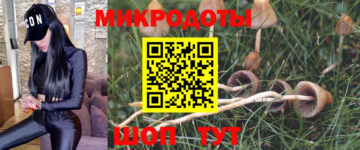 Майкоп  Галлюциногенные грибы Psilocybe  дарнет шоп  Вход с VPN 